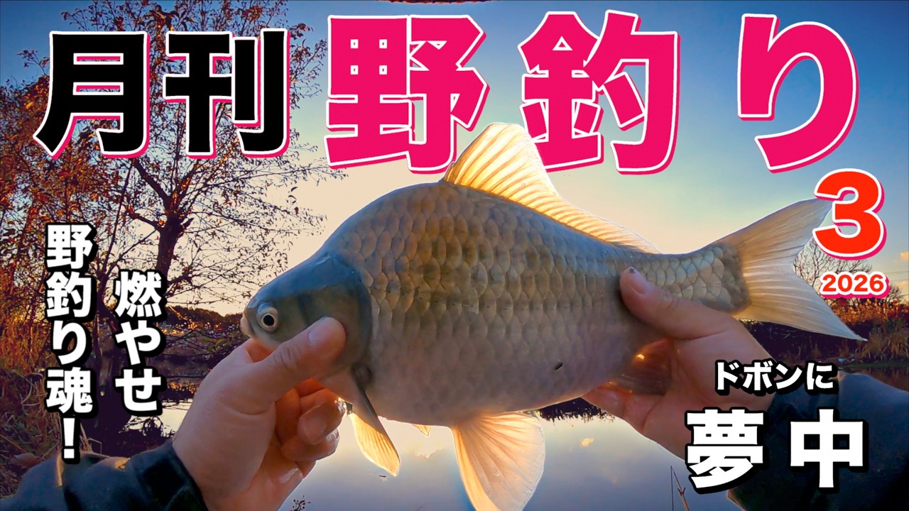 ヘラブナ天国を探して、今日もまた一人