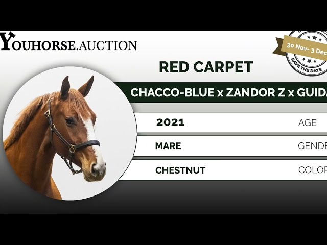 Mother Red Carpet (Zantana)