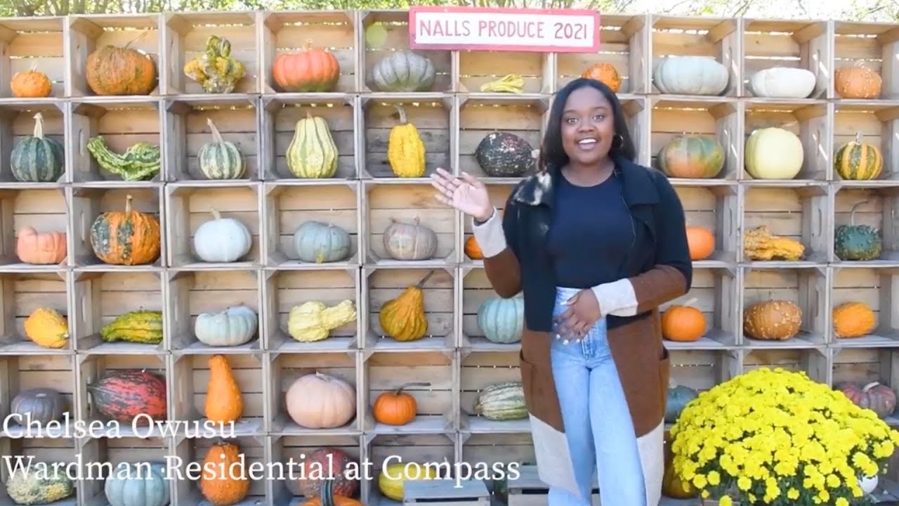 Alexandria – National Pumpkin Day