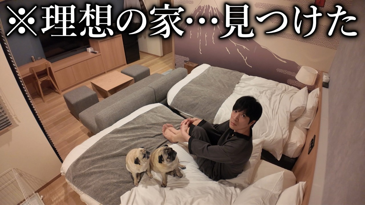 【ご報告】愛犬が10歳になりました…独身で犬を飼ってしまった男の末路