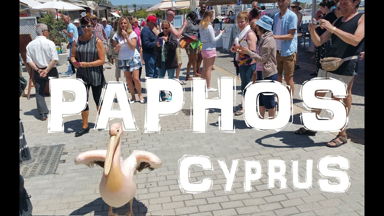 Attractions and Things To Do at Paphos