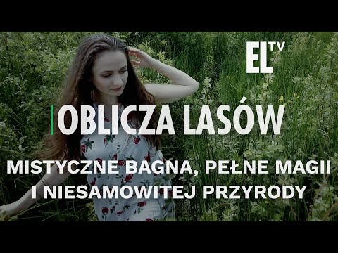 Mistyczne bagna, pełne magii i niesamowitej przyrody | OBLICZA LASÓW #140