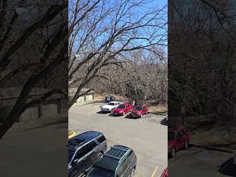 Benson Garden Apartments - Video 2 of 2