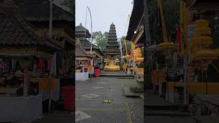 Download lagu Upacara Piodalan di Pura Pucak Tedung #bali #tradisibali #budayabali #hindu mp3