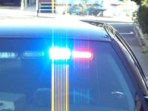 New DEMO light, Whelen Dual Avenger. RED & BLUE