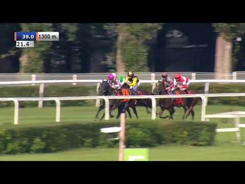 20.09.2020 (D34; G3; Tor: 3,2; 19°C) Nagroda Dakoty - L (kat.A)