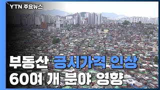 [앵커리포트] 부동산 공시가격 인상...건보료 등 60여 개 분야도 영향 / YTN