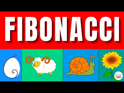 What is the Fibonacci Sequence & the Golden Ratio? Simple Explanation and Examples in Everyday Life