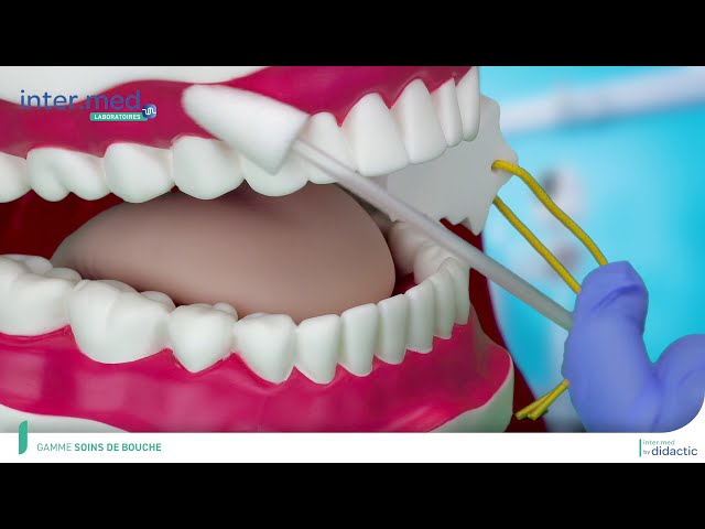 Bâton De Dentition Sensoriel - Tube à Mâcher Pour Enfants Et Adultes, Rouge 12.7mm