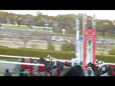 第68回阪神ジュベナイルフィリーズ2016/ソウルスターリング　 本場馬入場から口取り式まで(2016.12.11)