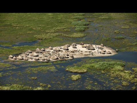 Das harte Überleben der Niloten in der tödlichen Wildnis des Sudd-Sumpfes!