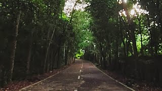 An sadit na Kadlagan kan Legazpi City