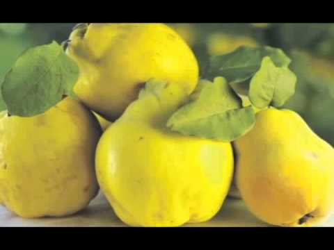 Stipica Mazar -Procvale su dunje na granama