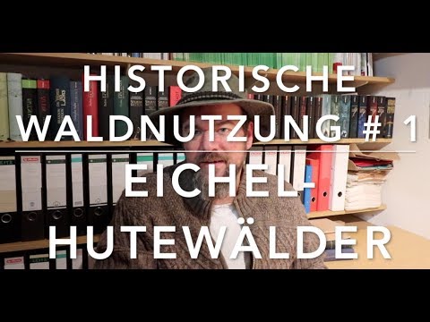 Pasture management - Historical forest use #1