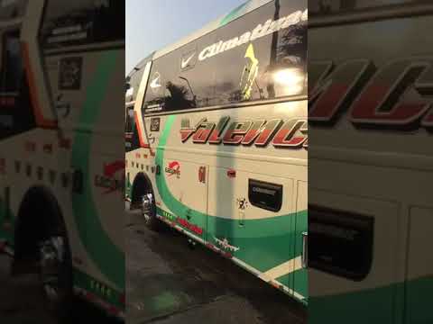 valencia#61 🦎cepeda c5 hino AK reformado Sin alma 61🦎