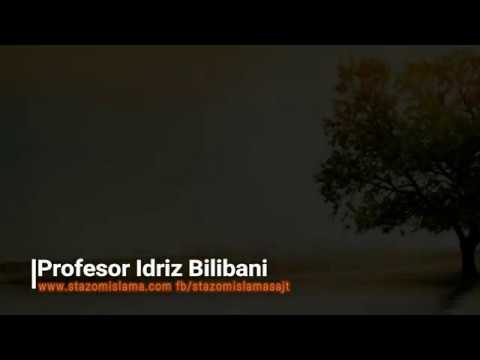 Dobročinstvo prema nemuslimanima ll Profesor Idriz Bilibani