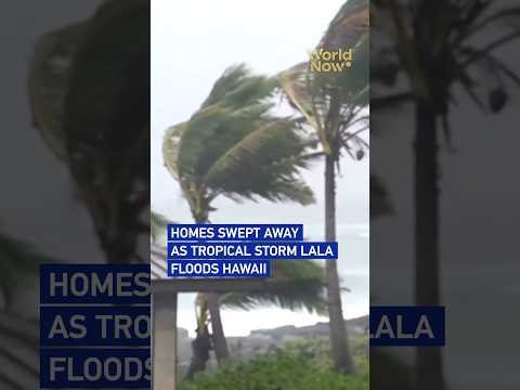 Homes swept away as Tropical Storm Lala floods Hawaii #worldnow