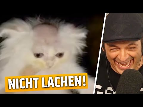 DON'T Laugh Challenge with @Shlorox Round 2