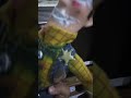 SESAME STREET KINGSTON Sing BE YOURSELF