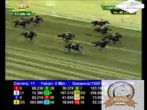 LA RINCONADA 11 CARRERA, SABADO 11 DE JUNIO DEL 2016