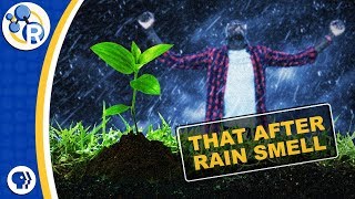 What's That After-Rain Smell Made Of?