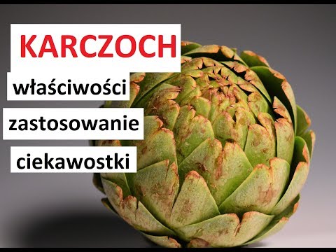 KARCZOCH - właściwości, zastosowanie, ciekawostki, skład