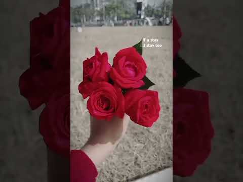 #trending #love #hilight #foryou #everyone #viralvideo #flowers #highlightseveryone #follow