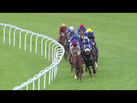 2016 Qatar Sussex Stakes - The Gurkha (IRE)
