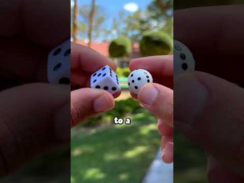 what circular dice look like