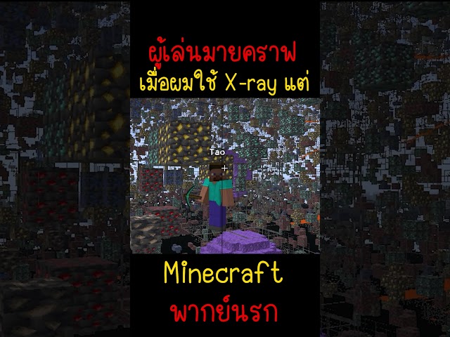 เมื่อผมใช้ X-ray แต่ผมเจอเจ้าหมอนี่ก็... | Minecraft #minecraft # ...