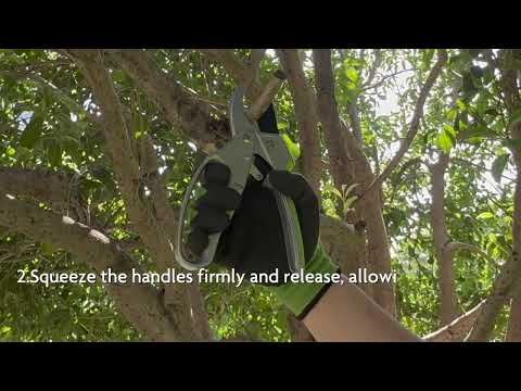 Gambar Yardsmith Gunting Tanaman Pruner Aluminium - Abu-Abu