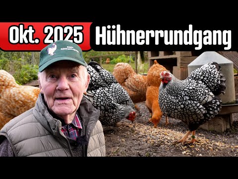 Dinosauer and World of Wachtel