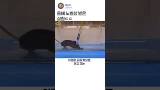 올해 노벨 생리의학상 받은 실험에 대해 알아보자