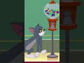 Kein Kaugummi Für Tom Tom Und Jerry Cartoonito Shorts