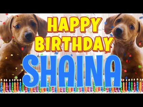 Happy Birthday Shaina! ( Funny Talking Dogs ) What Is Free On My Birthday