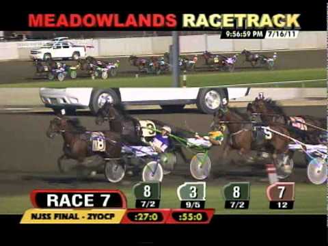 2011 NJSS Final 2YOCP