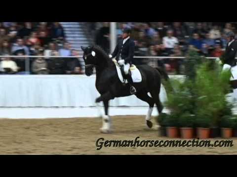 PB Show VER2015 Livaldon