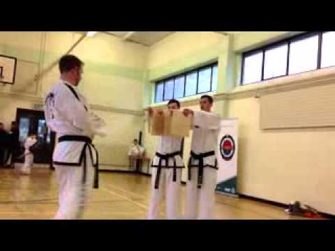 Mr Fox Reverse Turning Kick