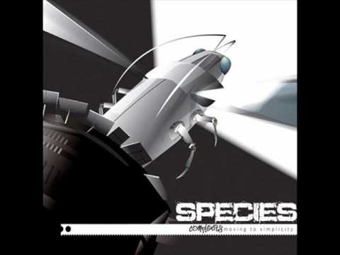 Species - Angels