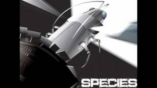 Species - Angels