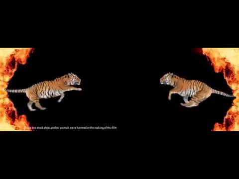 download lagu mp3 mp4 Ipl Theme Music Mp3 Song Free Download, download mp3 Ipl Theme Music Mp3 Song Free Download free download, download mp3 Ipl Theme Music Mp3 Song Free Download