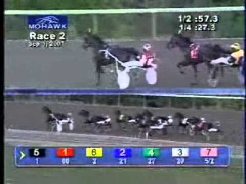 Breeders Crown Open Trot 2007 -Equinox Bi