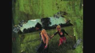 The Mr. T Experience - Somebody Who Cares