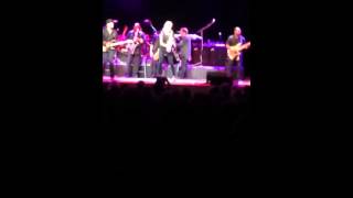 Mindi Abair Wild Heart