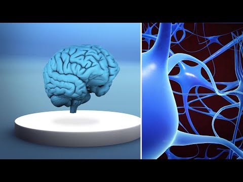 Researchers propose new hypothesis to explain Alzheimer's