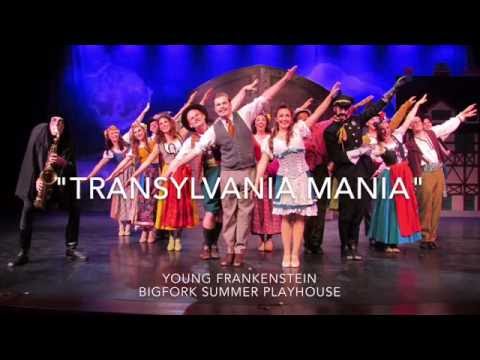Tyler Pirrung, Craig Franke, Brittany Ambler, & Co. - "Transylvania Mania" from Young Frankenstein