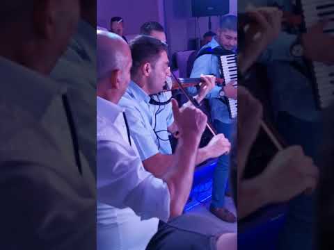 Kovin, Natasa Matic, Gagi bend i Cuban