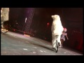Bears on bicycle and unicycle (TV version) 