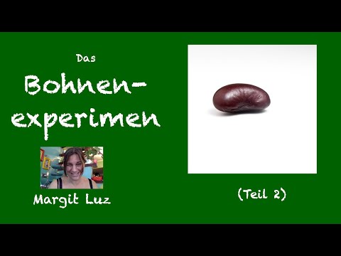 SACHKUNDE: Das Bohnenexperiment (Teil 2)