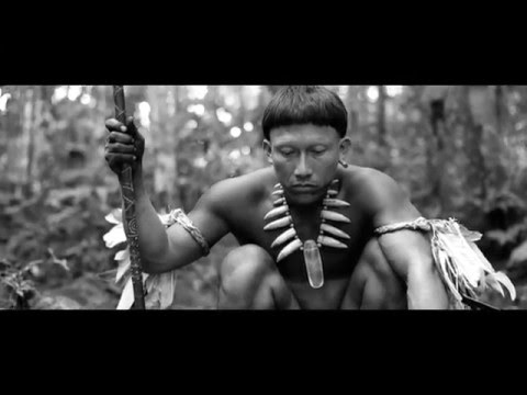 DER SCHAMANE UND DIE SCHLANGE Trailer